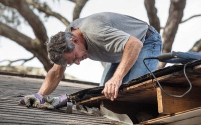 Protect Your Home From Wind Damage