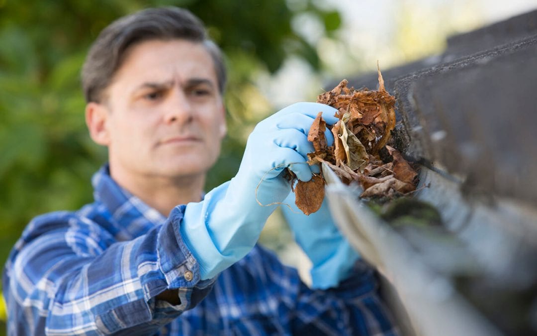 clean your gutters by removing leaves and other debris