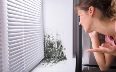 4 Tips to Prevent Mold in the Home